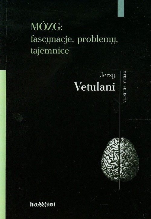 Okładka książki Mózg: fascynacje, problemy, tajemnice 